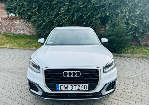 urzędów Audi Q2 cena 79900 przebieg: 133000, rok produkcji 2017 z Urzędów